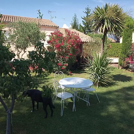 Studio Ou Loft Avec Piscine 3* Valréas
